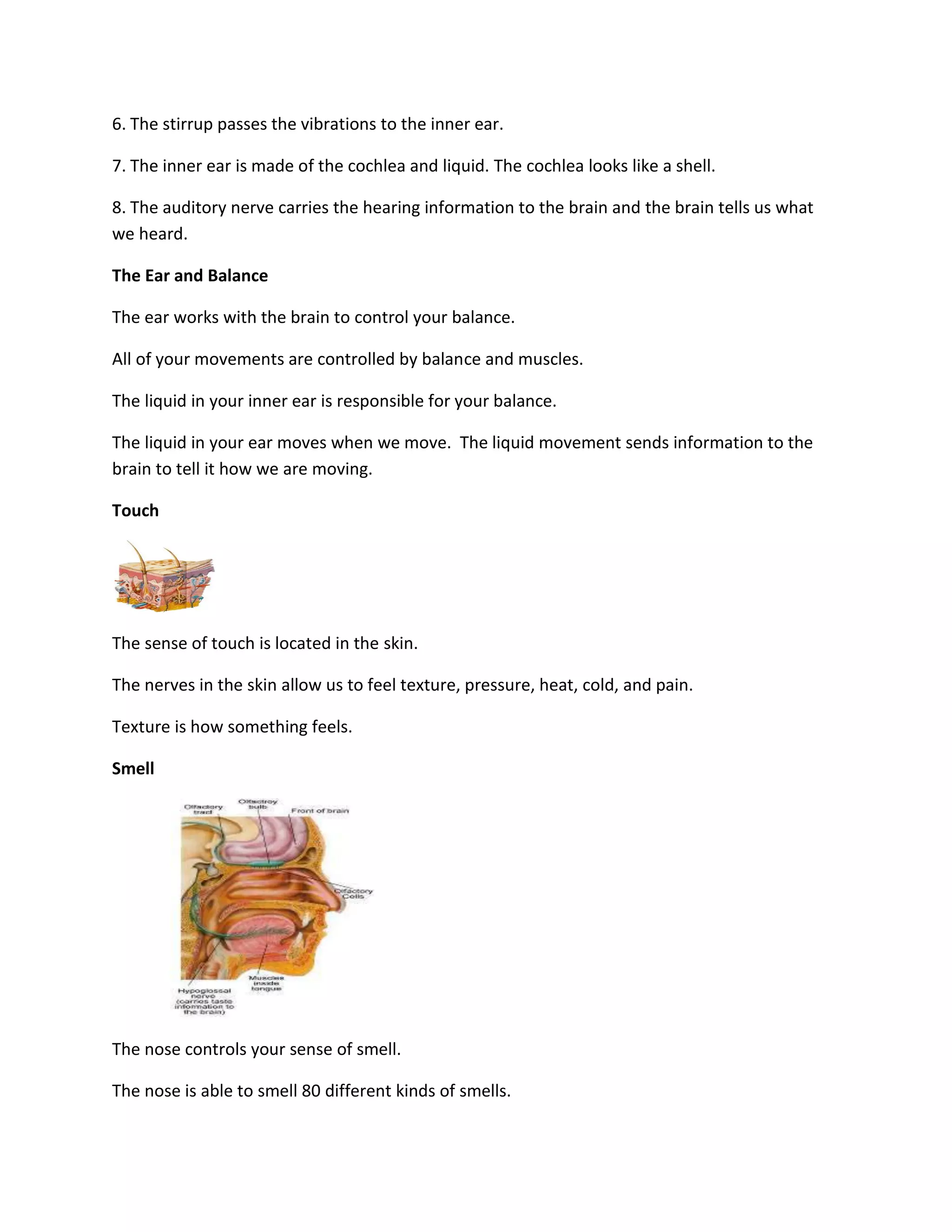 6. The stirrup passes the vibrations to the inner ear.

7. The inner ear is made of the cochlea and liquid. The cochlea looks like a shell.

8. The auditory nerve carries the hearing information to the brain and the brain tells us what
we heard.

The Ear and Balance

The ear works with the brain to control your balance.

All of your movements are controlled by balance and muscles.

The liquid in your inner ear is responsible for your balance.

The liquid in your ear moves when we move. The liquid movement sends information to the
brain to tell it how we are moving.

Touch




The sense of touch is located in the skin.

The nerves in the skin allow us to feel texture, pressure, heat, cold, and pain.

Texture is how something feels.

Smell




The nose controls your sense of smell.

The nose is able to smell 80 different kinds of smells.
 