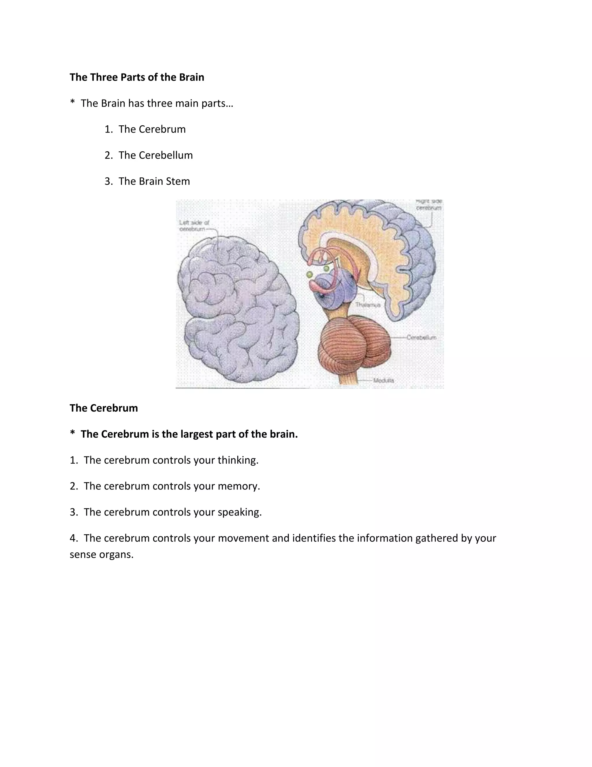 The Three Parts of the Brain

* The Brain has three main parts…

       1. The Cerebrum

       2. The Cerebellum

       3. The Brain Stem




The Cerebrum

* The Cerebrum is the largest part of the brain.

1. The cerebrum controls your thinking.

2. The cerebrum controls your memory.

3. The cerebrum controls your speaking.

4. The cerebrum controls your movement and identifies the information gathered by your
sense organs.
 