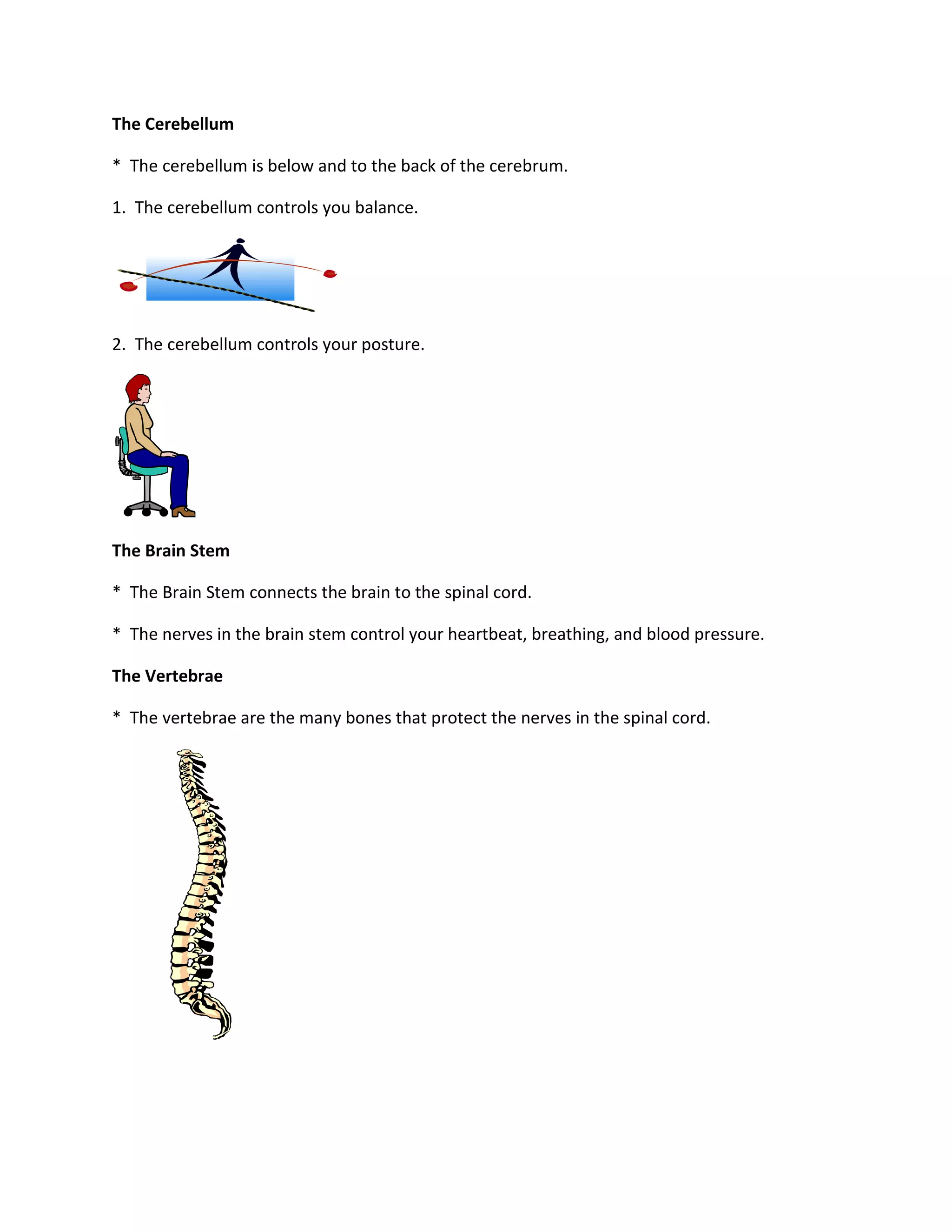 The Cerebellum

* The cerebellum is below and to the back of the cerebrum.

1. The cerebellum controls you balance.




2. The cerebellum controls your posture.




The Brain Stem

* The Brain Stem connects the brain to the spinal cord.

* The nerves in the brain stem control your heartbeat, breathing, and blood pressure.

The Vertebrae

* The vertebrae are the many bones that protect the nerves in the spinal cord.
 