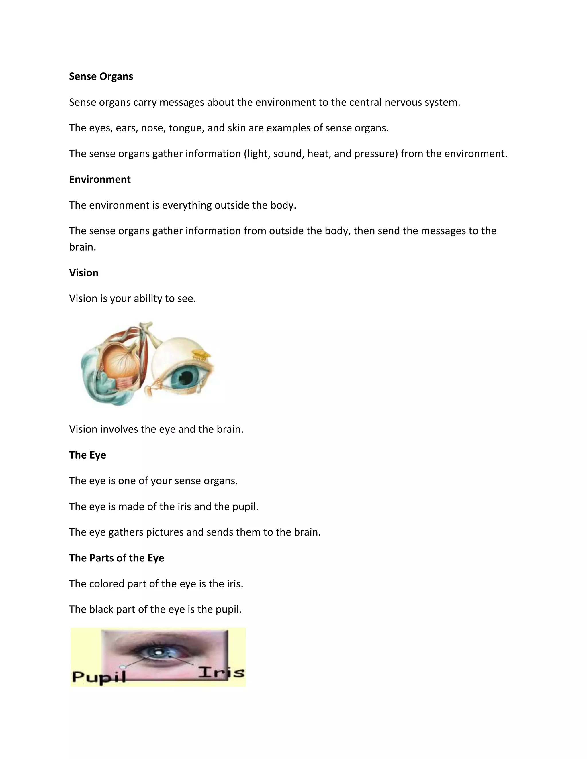 Sense Organs

Sense organs carry messages about the environment to the central nervous system.

The eyes, ears, nose, tongue, and skin are examples of sense organs.

The sense organs gather information (light, sound, heat, and pressure) from the environment.

Environment

The environment is everything outside the body.

The sense organs gather information from outside the body, then send the messages to the
brain.

Vision

Vision is your ability to see.




Vision involves the eye and the brain.

The Eye

The eye is one of your sense organs.

The eye is made of the iris and the pupil.

The eye gathers pictures and sends them to the brain.

The Parts of the Eye

The colored part of the eye is the iris.

The black part of the eye is the pupil.
 