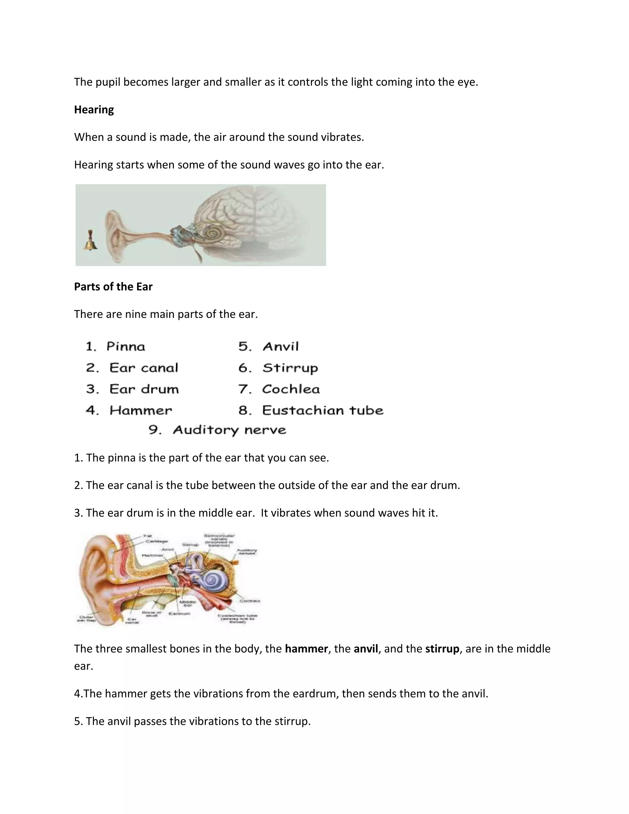 The pupil becomes larger and smaller as it controls the light coming into the eye.

Hearing

When a sound is made, the air around the sound vibrates.

Hearing starts when some of the sound waves go into the ear.




Parts of the Ear

There are nine main parts of the ear.




1. The pinna is the part of the ear that you can see.

2. The ear canal is the tube between the outside of the ear and the ear drum.

3. The ear drum is in the middle ear. It vibrates when sound waves hit it.




The three smallest bones in the body, the hammer, the anvil, and the stirrup, are in the middle
ear.

4.The hammer gets the vibrations from the eardrum, then sends them to the anvil.

5. The anvil passes the vibrations to the stirrup.
 