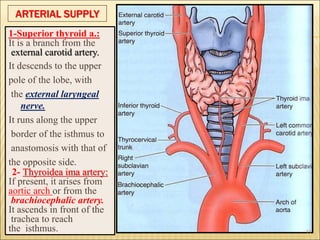  :
1-Superior thyroid a.:
It is a branch from the
external carotid artery.
It descends to the upper
pole of the lobe, with
the external laryngeal
nerve.
It runs along the upper
border of the isthmus to
anastomosis with that of
the opposite side.
2- Thyroidea ima artery:
If present, it arises from
aortic arch or from the
brachiocephalic artery.
It ascends in front of the
trachea to reach
the isthmus.
ARTERIAL SUPPLY
11
 