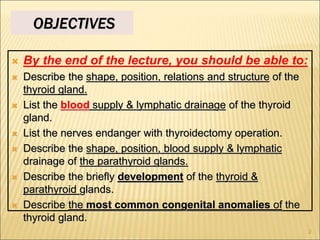 OBJECTIVES
 By the end of the lecture, you should be able to:
 Describe the shape, position, relations and structure of the
thyroid gland.
 List the blood supply & lymphatic drainage of the thyroid
gland.
 List the nerves endanger with thyroidectomy operation.
 Describe the shape, position, blood supply & lymphatic
drainage of the parathyroid glands.
 Describe the briefly development of the thyroid &
parathyroid glands.
 Describe the most common congenital anomalies of the
thyroid gland.
2
 