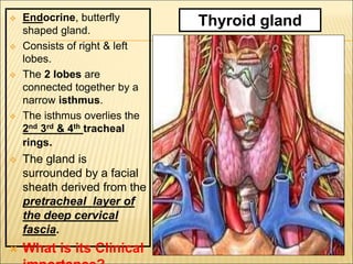  Endocrine, butterfly
shaped gland.
 Consists of right & left
lobes.
 The 2 lobes are
connected together by a
narrow isthmus.
 The isthmus overlies the
2nd 3rd & 4th tracheal
rings.
 The gland is
surrounded by a facial
sheath derived from the
pretracheal layer of
the deep cervical
fascia.
 What is its Clinical
Thyroid gland
4
 