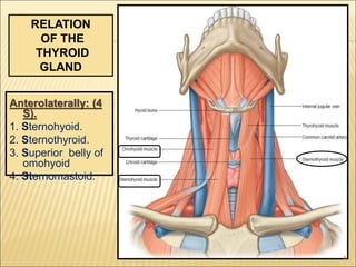Anterolaterally: (4
S).
1. Sternohyoid.
2. Sternothyroid.
3. Superior belly of
omohyoid
4. Sternomastoid.
RELATION
OF THE
THYROID
GLAND
8
 