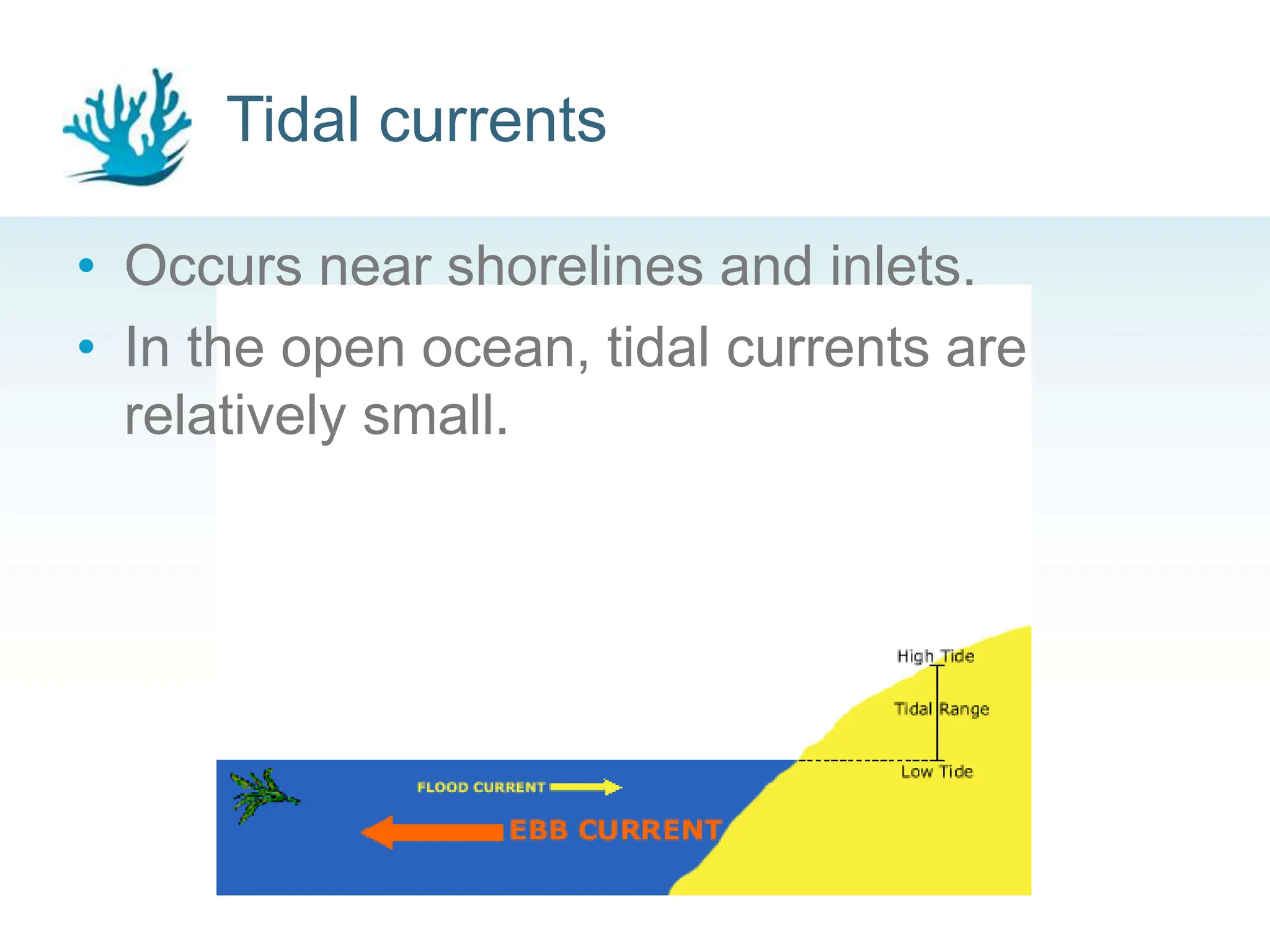 Tidal currents
10
• Occurs near shorelines and inlets.
• In the open ocean, tidal currents are
relatively small.
 