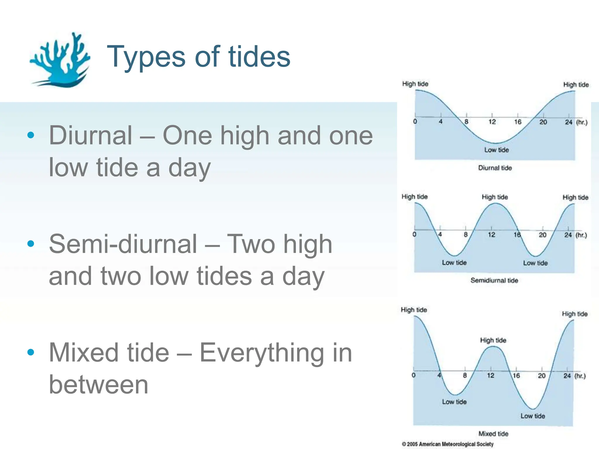 Types of tides
• Diurnal – One high and one
low tide a day
• Semi-diurnal – Two high
and two low tides a day
• Mixed tide – Everything in
between
11
 