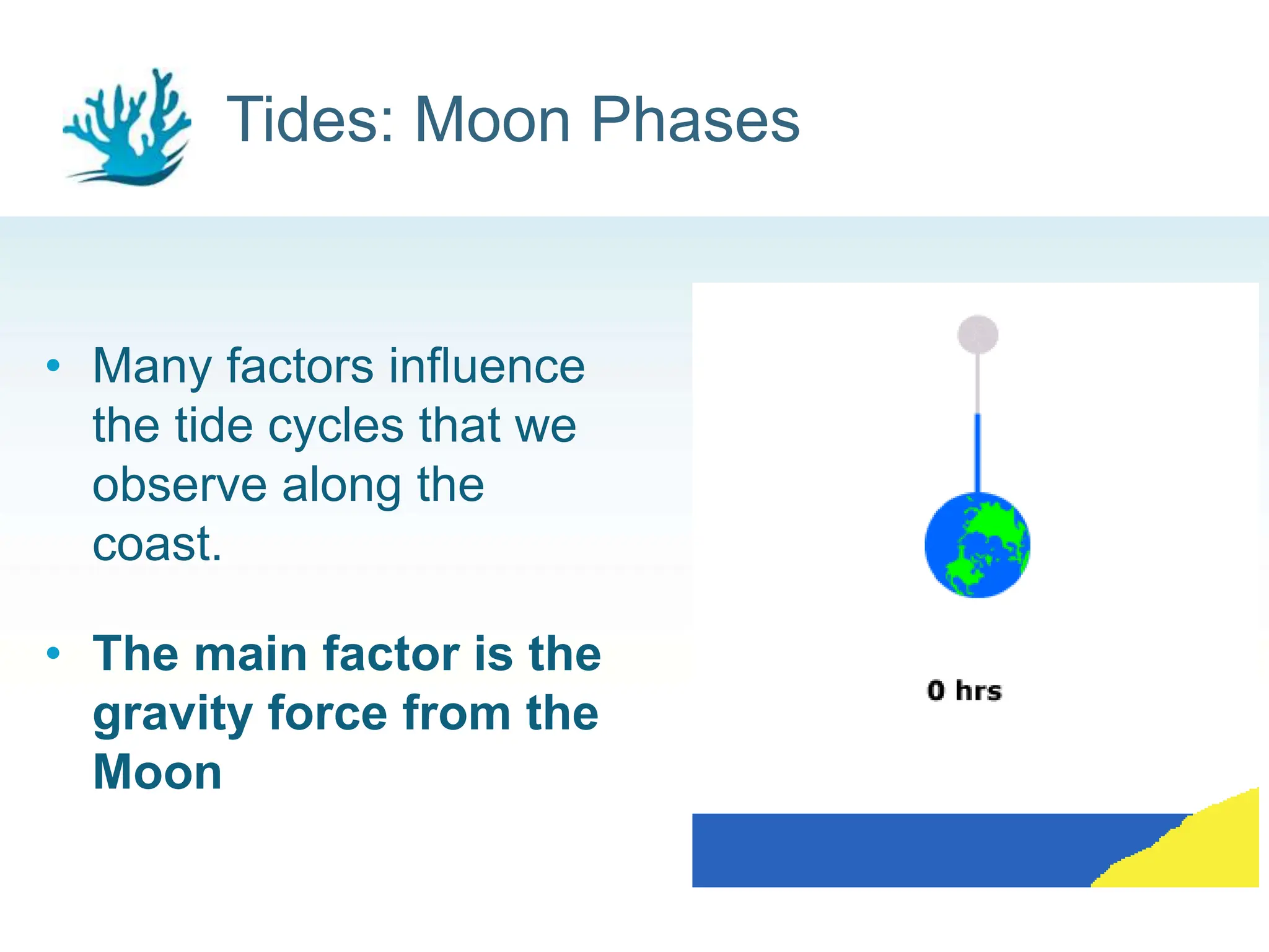 Tides: Moon Phases
• Many factors influence
the tide cycles that we
observe along the
coast.
• The main factor is the
gravity force from the
Moon
5
 