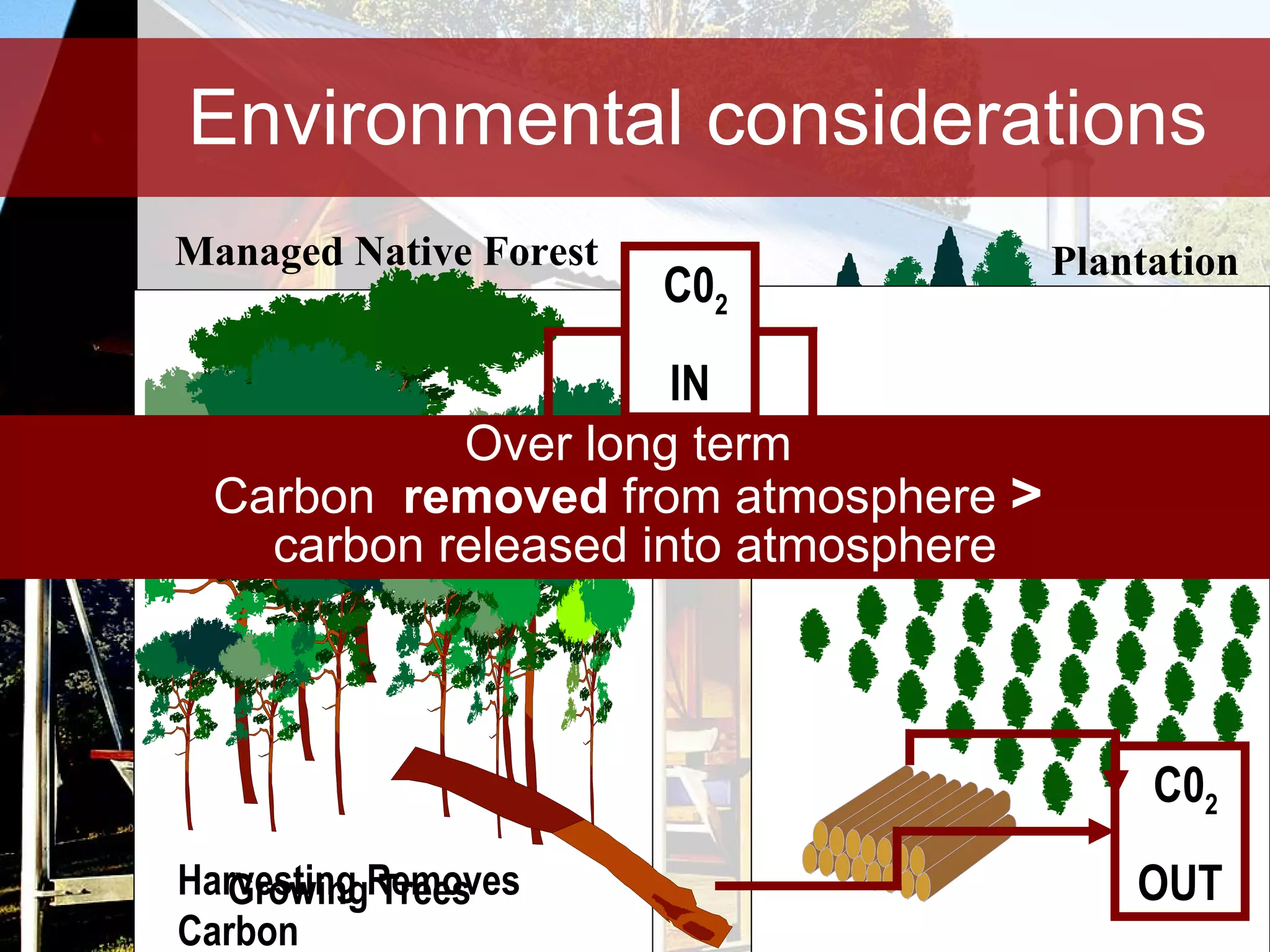Environmental considerations Managed Native Forest Plantation Growing Trees Over long term  Carbon  removed  from atmosphere  >   carbon released into atmosphere New trees planted Harvesting Removes Carbon C0 2 IN C0 2 OUT 