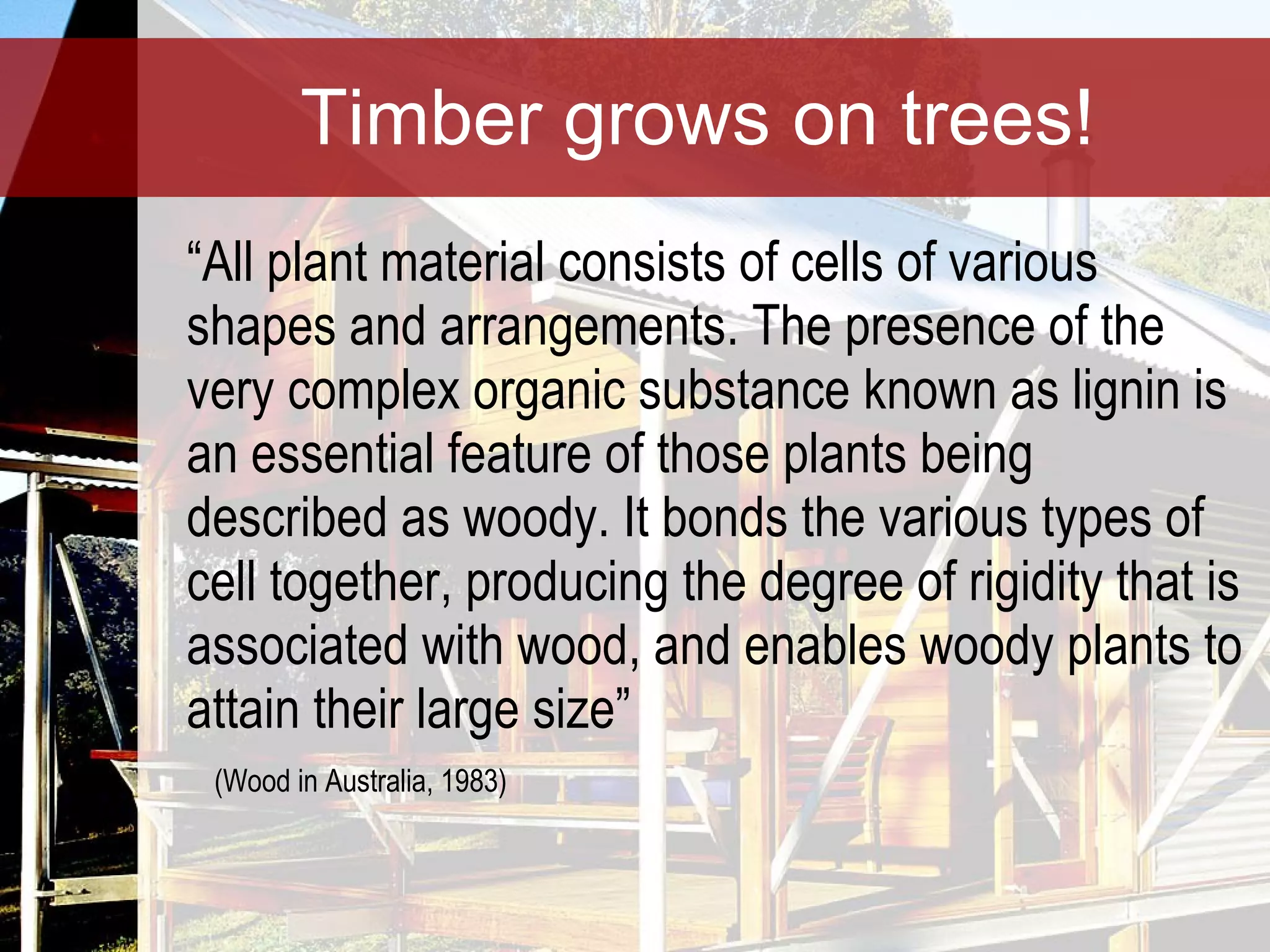 Timber grows on trees! “ All plant material consists of cells of various shapes and arrangements. The presence of the very complex organic substance known as lignin is an essential feature of those plants being described as woody. It bonds the various types of cell together, producing the degree of rigidity that is associated with wood, and enables woody plants to attain their large size”  (Wood in Australia, 1983) 