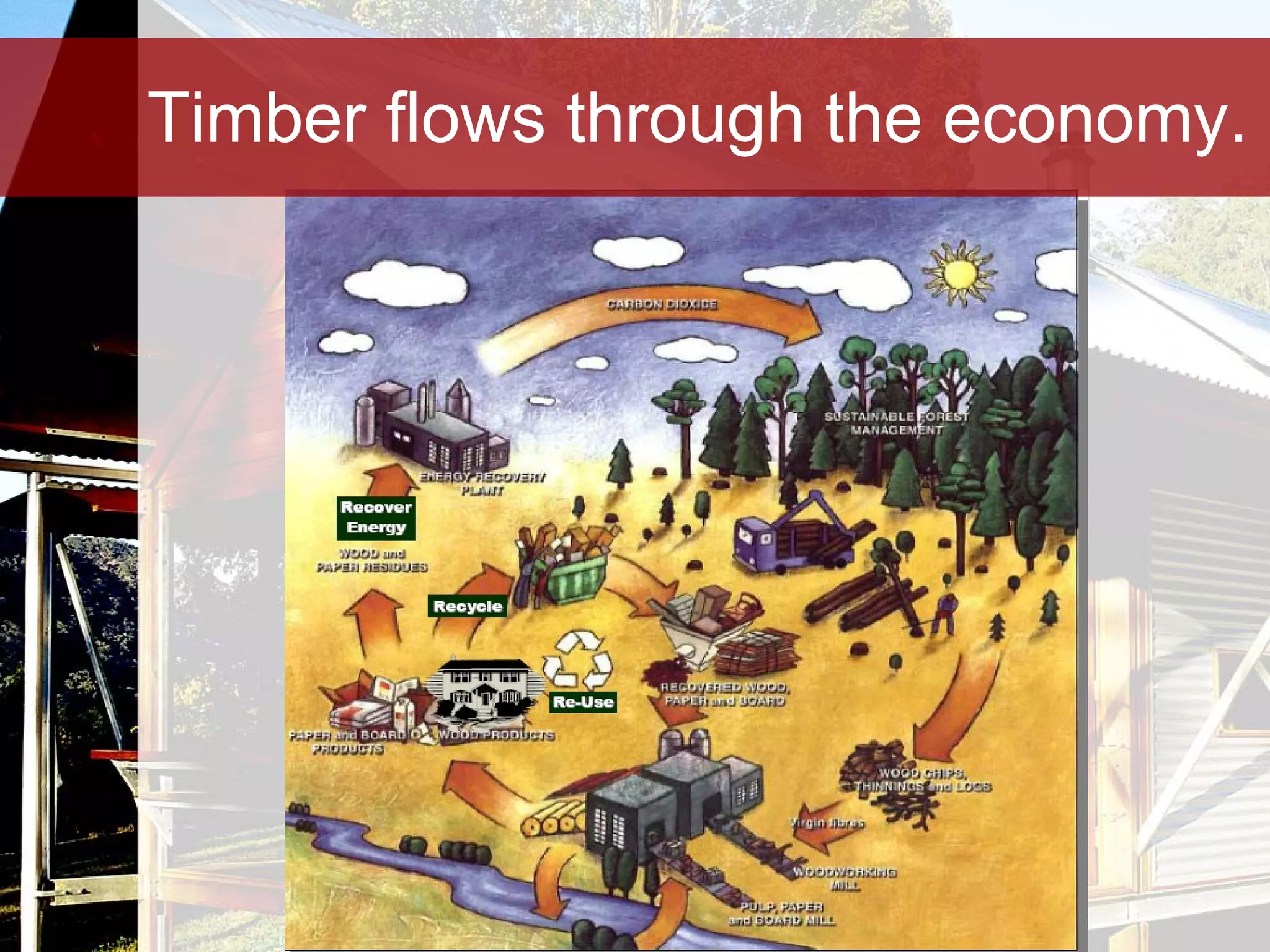 Timber flows through the economy. 