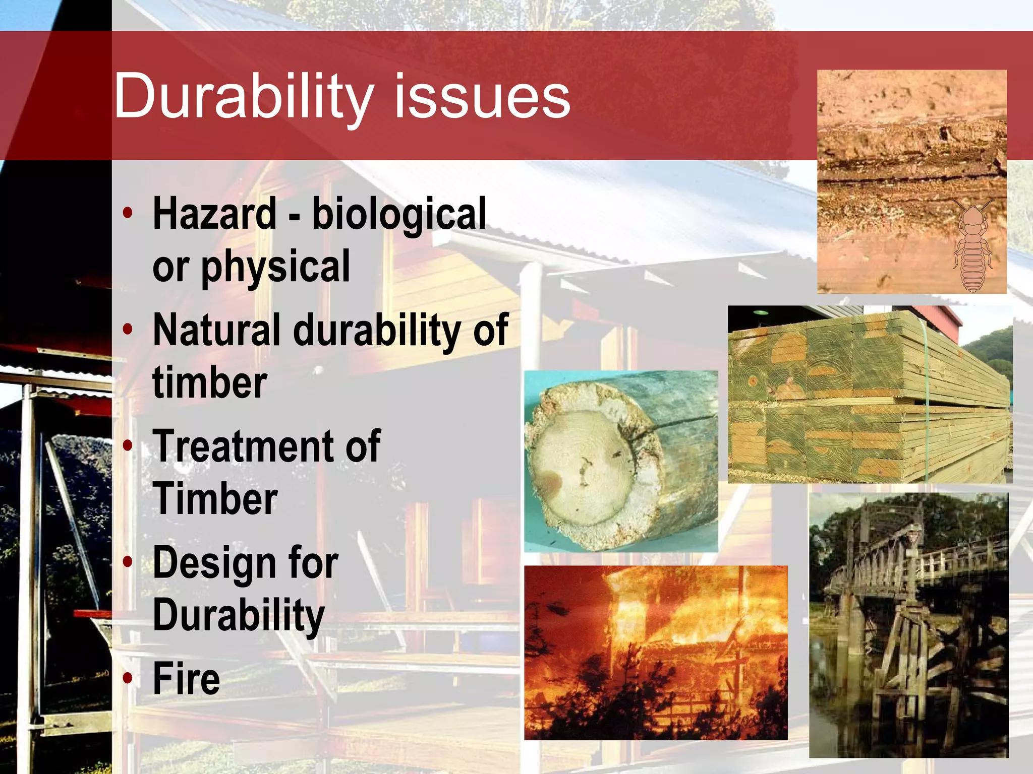 Durability issues Hazard - biological or physical Natural durability of timber Treatment of Timber Design for Durability Fire 