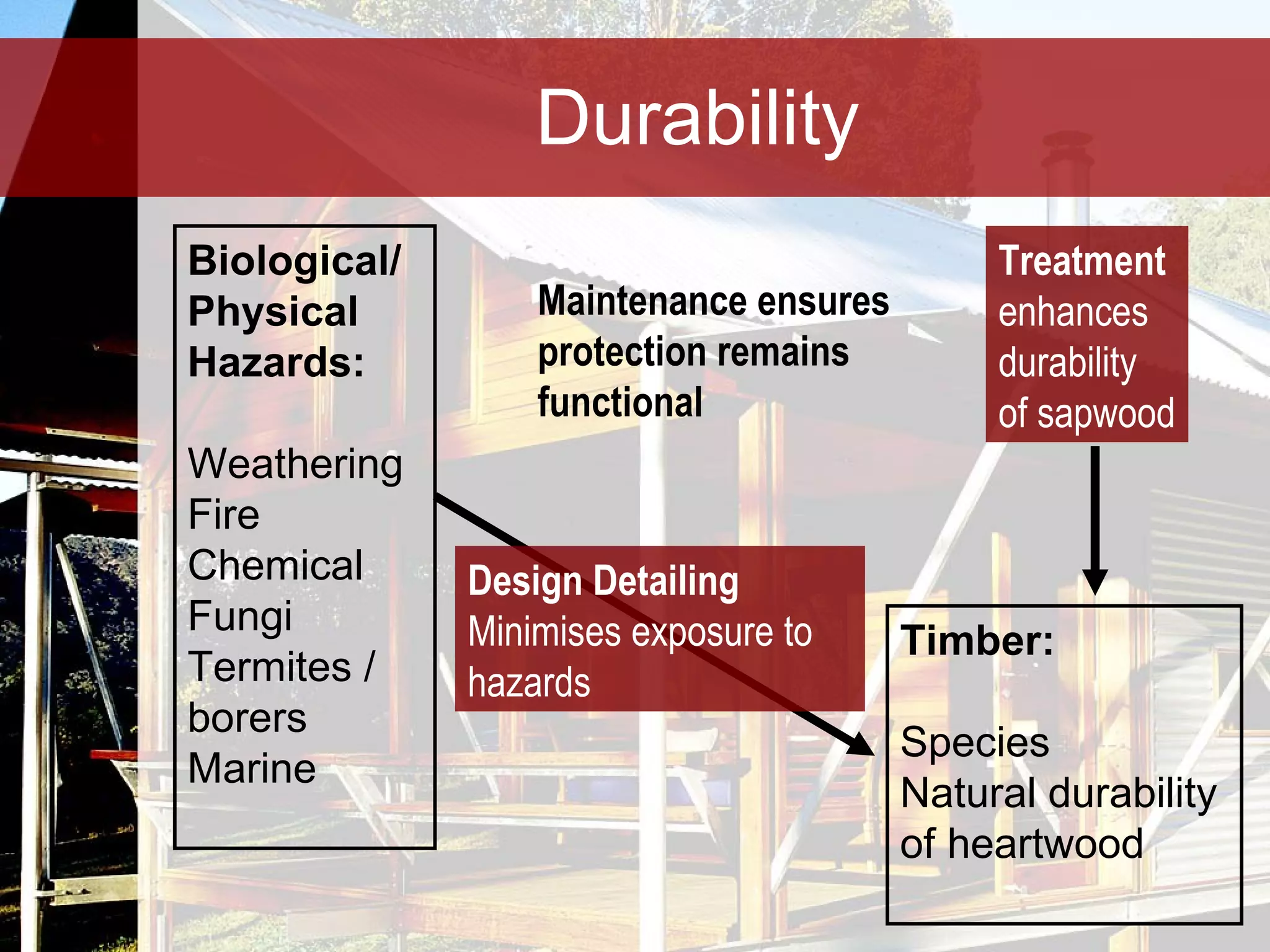 Durability Biological/  Physical  Hazards: Weathering Fire Chemical Fungi Termites / borers Marine Timber: Species Natural durability  of heartwood Design Detailing Minimises exposure to hazards Maintenance ensures  protection remains functional Treatment enhances  durability of sapwood 