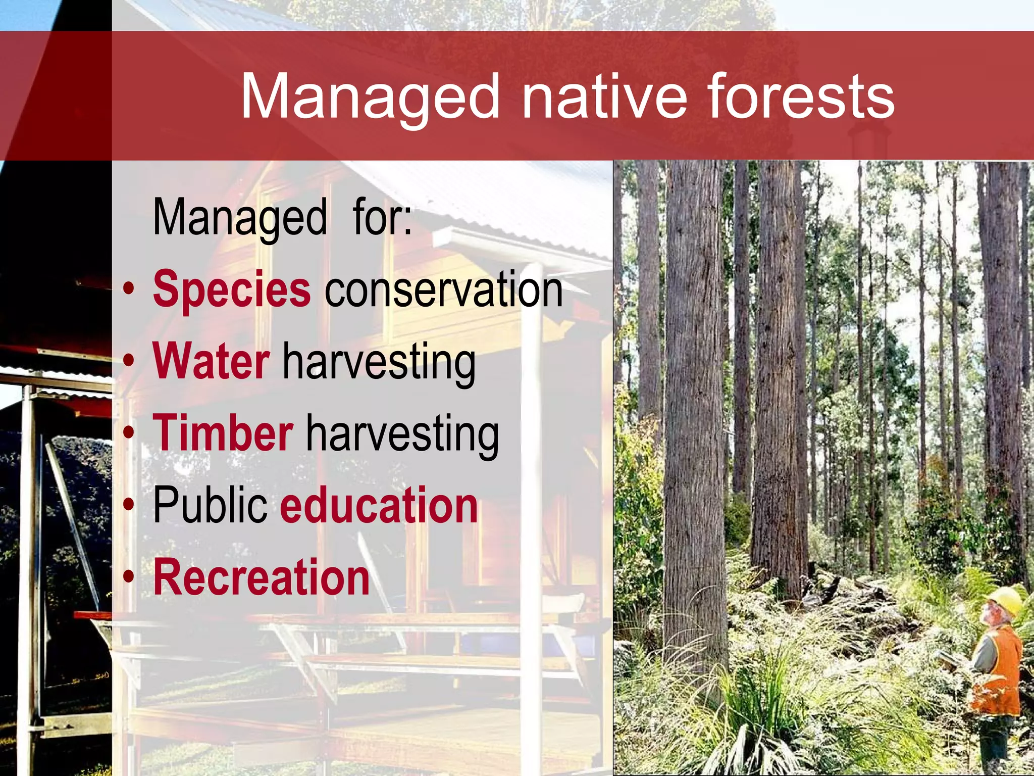 Managed native forests Managed  for: Species  conservation Water  harvesting Timber  harvesting Public  education Recreation 