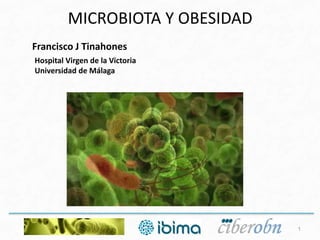 MICROBIOTA Y OBESIDAD
Francisco J Tinahones
Hospital Virgen de la Victoria
Universidad de Málaga
1
 