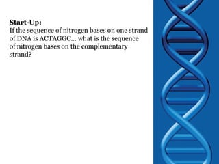 Start-Up: If the sequence of nitrogen bases on one strand of DNA is ACTAGGC… what is the sequence of nitrogen bases on the complementary strand? 