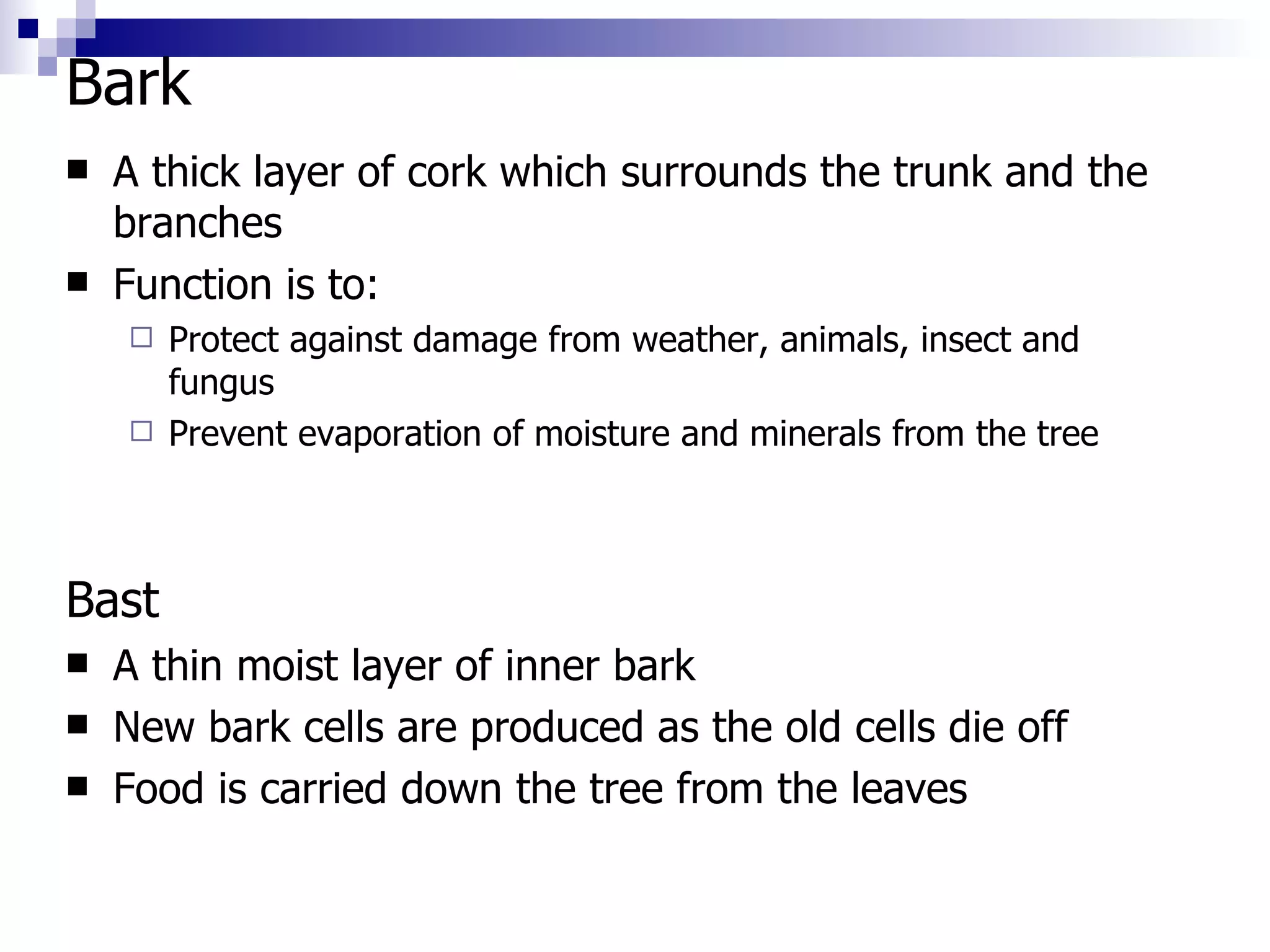 Bark  A thick layer of cork which surrounds the trunk and the branches Function is to: Protect against damage from weather, animals, insect and fungus Prevent evaporation of moisture and minerals from the tree Bast A thin moist layer of inner bark New bark cells are produced as the old cells die off Food is carried down the tree from the leaves 