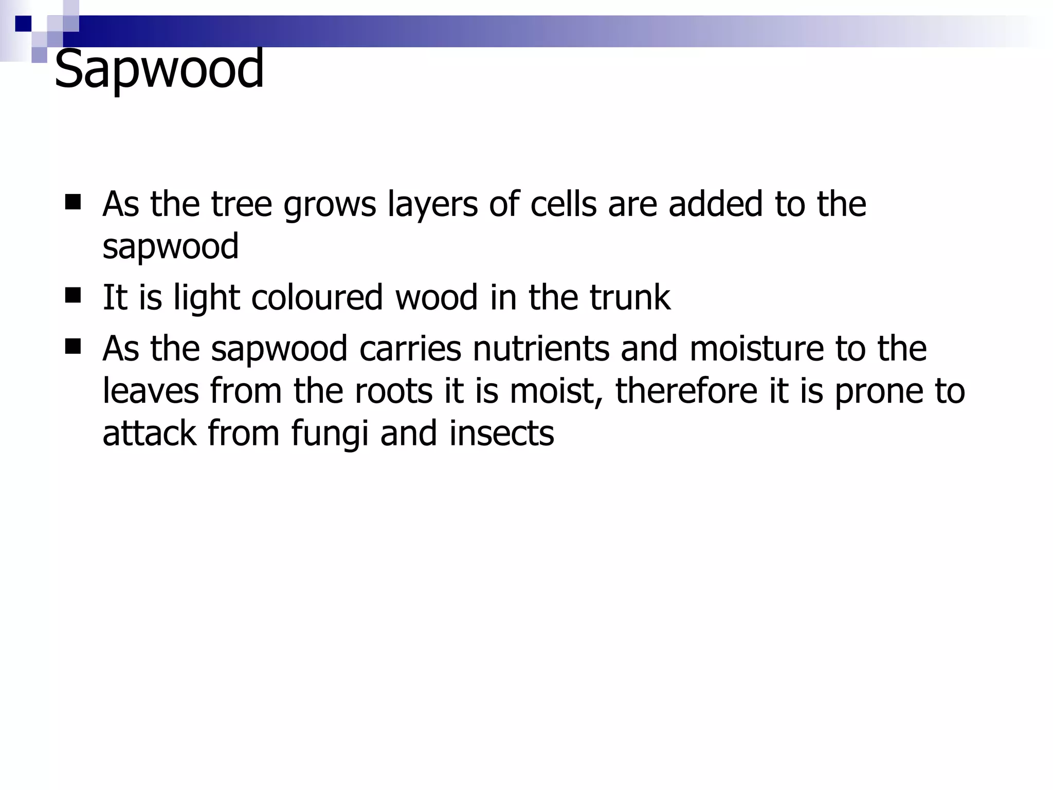 Sapwood  As the tree grows layers of cells are added to the sapwood It is light coloured wood in the trunk As the sapwood carries nutrients and moisture to the leaves from the roots it is moist, therefore it is prone to attack from fungi and insects 