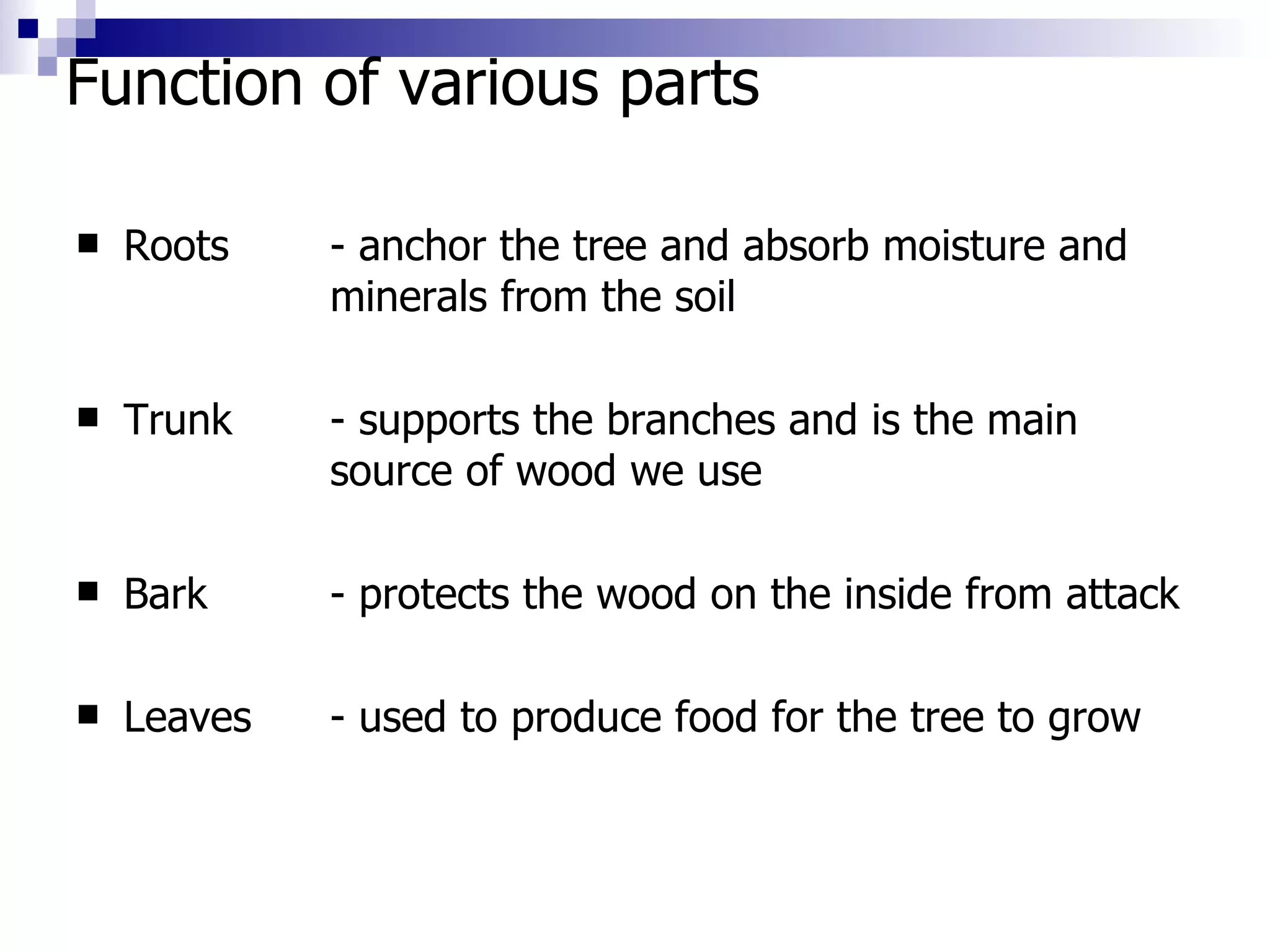 Function of various parts Roots - anchor the tree and absorb moisture and  minerals from the soil Trunk - supports the branches and is the main  source of wood we use Bark - protects the wood on the inside from attack Leaves - used to produce food for the tree to grow 