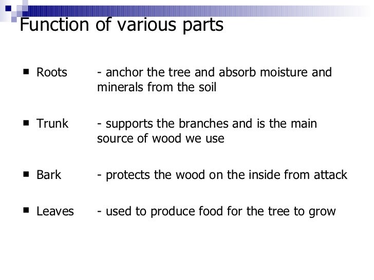 2. tree growth & structure
