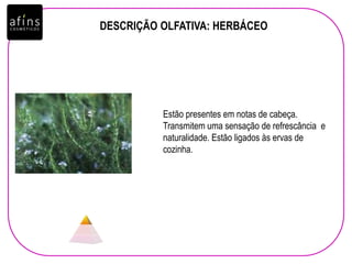 DESCRIÇÃO OLFATIVA: HERBÁCEO
Estão presentes em notas de cabeça.
Transmitem uma sensação de refrescância e
naturalidade. Estão ligados às ervas de
cozinha.
 