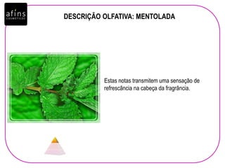 DESCRIÇÃO OLFATIVA: MENTOLADA
Estas notas transmitem uma sensação de
refrescância na cabeça da fragrância.
 