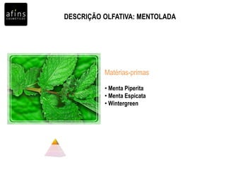 DESCRIÇÃO OLFATIVA: MENTOLADA
• Menta Piperita
• Menta Espicata
• Wintergreen
Matérias-primas
 