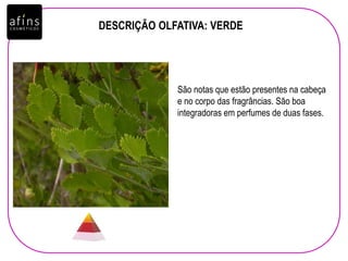 DESCRIÇÃO OLFATIVA: VERDE
São notas que estão presentes na cabeça
e no corpo das fragrâncias. São boa
integradoras em perfumes de duas fases.
 
