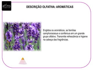 DESCRIÇÃO OLFATIVA: AROMÁTICAS
Engloba os aromáticos, as famílias
camphoraceous e coniferous em um grande
grupo olfativo. Transmite refrescância e higiene
na cabeça das fragrâncias.
 