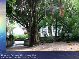 Cæ ng vµ o ® Ò n §ång Cæ ë ph­ê ng B­ë i,
q uËn Ba §× nh, Hµ Né i, n¬ i thê ThÇn Trè ng
 