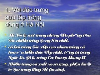 1. Vài1. Vài đặcđặc trtrưưngng
ssưưu tập trốngu tập trống
đồngđồng ở Hà Nộiở Hà Nội
• Hµ Néilµ mét trongnh÷ng®Þaph­¬ngt×mHµ Néilµ mét trongnh÷ng®Þaph­¬ngt×m
®­îc nhiÒutrèng§«ngS¬nnhÊt.®­îc nhiÒutrèng§«ngS¬nnhÊt.
• cãhaitrèng®­îc xÕpvµo nhãmtrèngcãcãhaitrèng®­îc xÕpvµo nhãmtrèngcã
hoav¨ nhiÖnthùc ®ÑpnhÊt, t­¬ngtùtrènghoav¨ nhiÖnthùc ®ÑpnhÊt, t­¬ngtùtrèng
Ngäc Lò. §ãlµ trèngCæLoavµ HoµngH¹Ngäc Lò. §ãlµ trèngCæLoavµ HoµngH¹
• NhiÒutrèngcãxuÊt xø rârµng, phÇnlín®­NhiÒutrèngcãxuÊt xø rârµng, phÇnlín®­
îc ®µo tronglßng®Êt (insitu).îc ®µo tronglßng®Êt (insitu).
 
