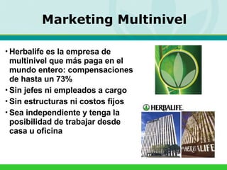 Herbalife es la empresa de multinivel que más paga en el mundo entero: compensaciones de hasta un 73% Sin jefes ni empleados a cargo Sin estructuras ni costos fijos Sea independiente y tenga la posibilidad de trabajar desde casa u oficina Marketing Multinivel 