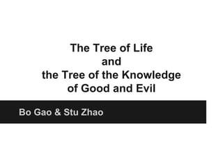 The Tree of Life 
and 
the Tree of the Knowledge 
of Good and Evil 
Bo Gao & Stu Zhao 
 