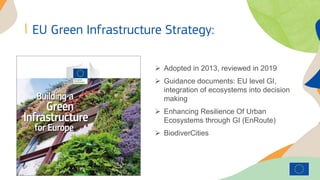 2 - Urban Green Infrastructure and conservation of pollinators in ...