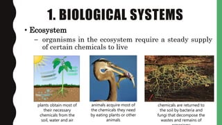 Unifying Themes of Life | PPTX