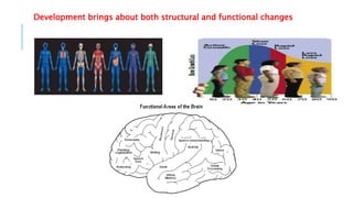 1-human growth and development | PPTX