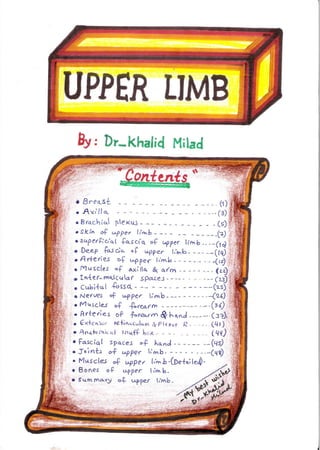 upper limb - Anatomy