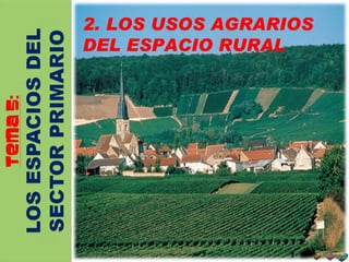 2. LOS USOS AGRARIOS DEL ESPACIO RURAL 