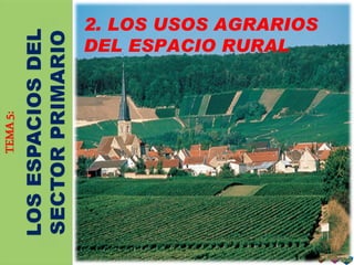 2. LOS USOS AGRARIOS DEL ESPACIO RURAL 