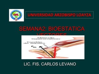 UNIVERSIDAD ARZOBISPO LOAYZA


SEMANA2: BIOESTATICA
     VECTORES




 LIC. FIS. CARLOS LEVANO
 