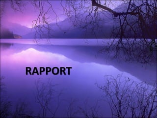 RAPPORT
 