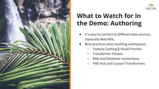 What to Watch for in
the Demo: Authoring
● It’s easy to connect to different data sources,
especially Web APIs.
● Best practices when building workspaces:
○ Feature Caching & Visual Preview
○ Transformer Presets
○ Web and Database connections
○ FME Hub and Custom Transformers
 