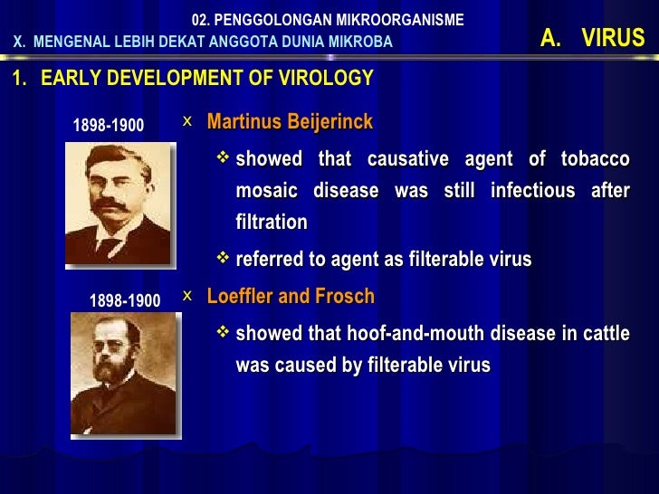 2.F Virus