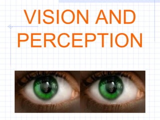 VISION AND PERCEPTION 