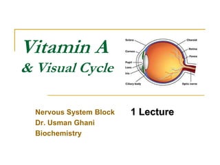 Vitamin A
& Visual Cycle
Nervous System Block
Dr. Usman Ghani
Biochemistry
1 Lecture
 