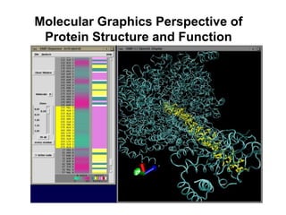 Molecular Graphics Perspective of
Protein Structure and Function
 