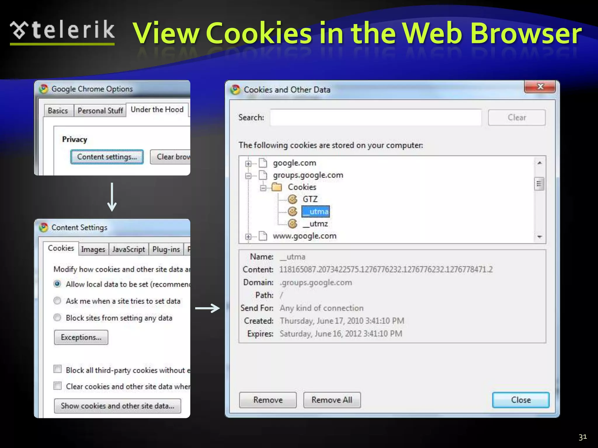 View Cookies in the Web Browser31