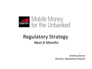 Regulatory Strategy  Next 6 Months Andrew Zerzan Director, Regulatory Projects 