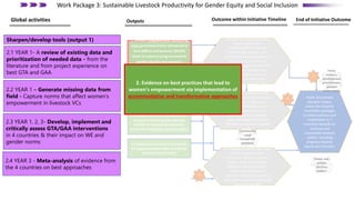 Outcome within Initiative Timeline
Outputs End of Initiative Outcome
2. Evidence on best practices that
lead to women's empowerment via
implementation of accommodative
and transformative approaches
4. Evidence on best-bet entry points
for youth empowerment in selected
livestock value chains
1. Women empowerment monitoring
tools generated and/or sharpened at
farm (WELI) and business (WELBI)
levels to measure progress towards
gender-equality and women’s
empowerment- in livestock value
chains
Community and household
members in selected livestock
value chains adopt more
gender-equitable behaviour to
enable participation and
benefitting from livestock
assets and opportunities for
400,000 women and 150,000
youth.
In 4 target countries scientists
and practitioners and
extension agents in animal
health, feeds and forages,
genetics and environment
collaborate with gender
scientists to generate gender-
and youth-responsive livestock
innovation bundles
In 4 selected countries policy,
private sector and
development community
acknowledge gender- and
youth-based discrimination in
livestock value chains; co-
develop strategies to close the
gender and age gap; and
monitor progress towards
achieving that (using WELI
,WELBI and other WP tools).
Public and private
decision makers
utilize the Initiative
innovation packages
to inform policies and
investments in 7
countries towards an
inclusive and
sustainable livestock
system, including
progress towards
equity and inclusion
Communitie
s and
household
members
Public and
private
decision
makers
Policy
makers,
development
practitioners,
private
sector actors
1
2
3
4
4
3. Evidence on best approaches to
progress towards gender equality
and WE in livestock development
across the 3 livestock technical pillars
2.1 YEAR 1- A review of existing data and
prioritization of needed data - from the
literature and from project experience on
best GTA and GAA
2.3 YEAR 1, 2, 3- Develop, implement and
critically assess GTA/GAA interventions
in 4 countries & their impact on WE and
gender norms
2.4 YEAR 3 - Meta-analysis of evidence from
the 4 countries on best approaches
2.2 YEAR 1 – Generate missing data from
field - Capture norms that affect women’s
empowerment in livestock VCs
Sharpen/develop tools (output 1)
2. Evidence on best practices that lead to
women's empowerment via implementation of
accommodative and transformative approaches
Work Package 3: Sustainable Livestock Productivity for Gender Equity and Social Inclusion
Global activities
 