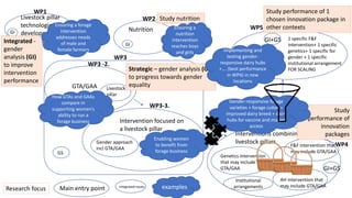 Work Package 3: Sustainable Livestock Productivity for Gender Equity and Social Inclusion